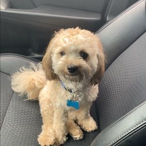 Meet your Posher, Edgar